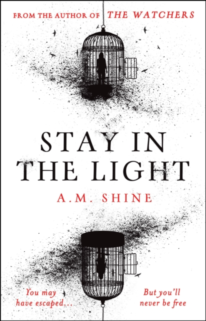 Stay In The Light - A.M. Shine