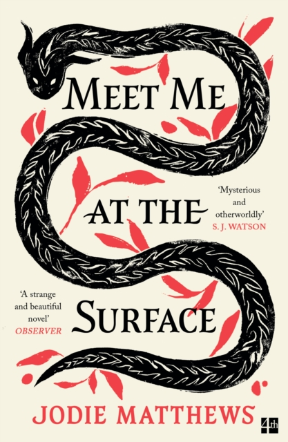 Meet Me At The Surface - Jodi Matthews